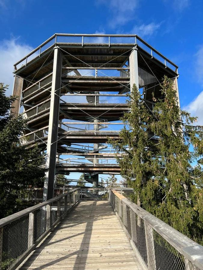 Apartament A121 Molo Lipno S Infrasaunou - Residence Koubek Lipno nad Vltavou Exterior foto